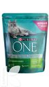 Корм PURINA ONE сухой с индейкой и цельными злаками 750г
