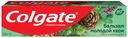 Зубная паста противовоспалительная Colgate Бальзам молодой хвои, 100 мл