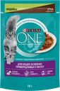 Корм консервированный для кошек PURINA ONE с уткой и индейкой, для особенно привередливых к вкусу, 75г