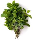 Mята свежая Маркет Fresh, 25г
