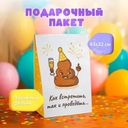 Пакет подарочный большой_СТЕПАНИП
