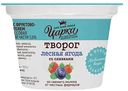 Творог Царка со сливками лесная ягода 5%, 140 г