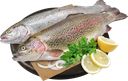 ФОРЕЛЬ РАДУЖНАЯ полуфабрикат из замороженного сырья, 1кг