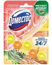 Туалетный блок Доместос Пауэр 5 Сила тропиков, 50г
