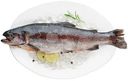 Форель радужная потрошёная с головой