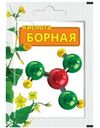 Кислота Ваше Хозяйство борная, 10г
