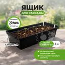 Ящик для рассады с ручками, Hanplast, 45х20х10 см, 5 л