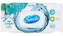 Влажные салфетки антибактериальные Smile экстракт эвкалипта, 60 шт.