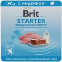Влажный корм для щенков Brit Starter индейка воздушный паштет, 100г