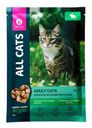 Корм для кошек All Cats тефтельки с кроликом в соусе 85г