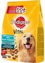Корм для взрослых собак всех пород Pedigree с говядиной, 600 г
