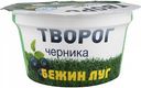 Творог Бежин луг Черника 4,2%, 160 г