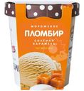 Пломбир Пестравка Солёная карамель 12%, 270г