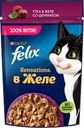 Корм влажный для взрослых кошек FELIX Sensations Утка в желе со шпинатом, 75г