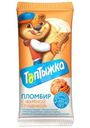 Пломбир Топтыжка ванильный со сгущенкой рожок 12% БЗМЖ 90г