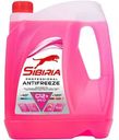 Антифриз красный SIBIRIA G12+, 5кг