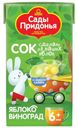 Сок Сады Придонья яблочно-виноградный восстановленный осветленный 125мл
