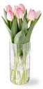 Тюльпаны в ассортименте, 7шт