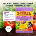 Регулятор роста растений "Завязь универсальная", 1 г