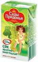 Сок детский Сады Придонья яблоко-виноград с 6 месяцев 0,125 л