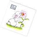 Салфетки декоративные Милый зайчик 2 слоя, 20×20см 30шт.