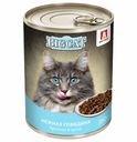 Влажный корм Зоогурман Big Cat с говядиной для кошек 350 г
