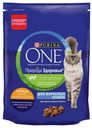 Сухой корм для кошек Purina ONE Природа здоровья с курицей, 180 г