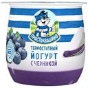 Йогурт термостатный Простоквашино двухслойный с черникой 3.4%, 160г