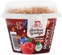 Йогурт МОЛОЧНАЯ КУЛЬТУРА с лесными ягодами с гранолой и изюмом 2,7–3,5%, без змж