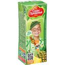 Сок детский Сады Придонья Яблоко-Ананас, с 6 месяцев, 0,2л