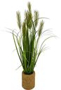 Растение искусственное Камыш, 70см×9шт.