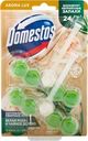 Блок для унитаза DOMESTOS Power 5 duo Свежесть зеленого чая, 100г