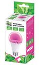 Фитолампа для растений LED EcoTec Е27, 11Вт