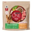 PURINA ONE Актив сух.корм д/соб мини кур/рис1,5кг(Нестле):6