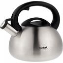 Чайник со свистком Tefal с матовой поверхностью, 2,5 л