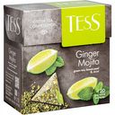 Чай зелёный Tess Ginger Mojito, 20×1,8 г