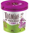 Мороженое из козьего молока пломбир МариАйс с наполнителем малина в бумажном стаканчике 12%, 60 г