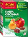 Каша овсяная «Ясно солнышко» с молоком абрикос, яблоко, изюм, 270г