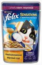 Корм Felix «Аппетитные кусочки» для кошек утка, соус, морковь, 85 г