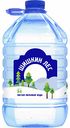 Вода питьевая Шишкин лес негазированная, 5 л