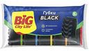 Губки для посуды Black Diamond5шт