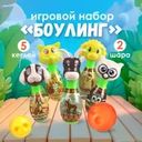 Игровой набор "Боулинг", Sport&Fun, в ассортименте