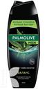 Гель PALMOLIVE Men Баланс 4в1 для тела/волос/лица и бороды с экстрактом семян конопли 500мл