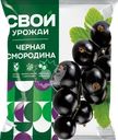 Смородина черная замороженная СВОЙ УРОЖАЙ