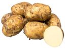 Картофель отечественный ранний