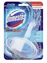 Блок гигиенический Domestos для туалета атлантик 40г