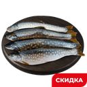Голец, с головой, 1 кг