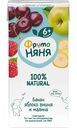 Нектар ФрутоНяня Банан, яблоко, вишня и малина с 6 месяцев, 0,2 л