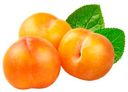 Слива желтая