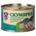 Скумбрия 5 МОРЕЙ с маслом, 250г